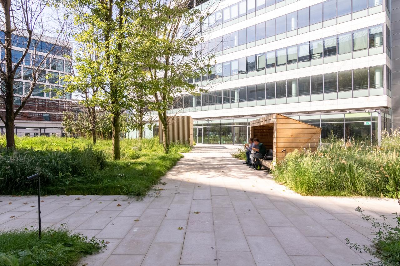 Bureau La Plaine Saint-Denis 21549m² Location bureau La Plaine Saint-Denis Seine-Saint-Denis OLBUR2100384 16